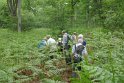 2018-05-24 15-15-23  Rando Fontainebleau DLe
